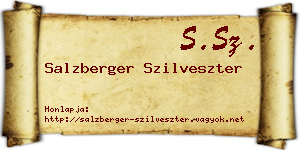 Salzberger Szilveszter névjegykártya